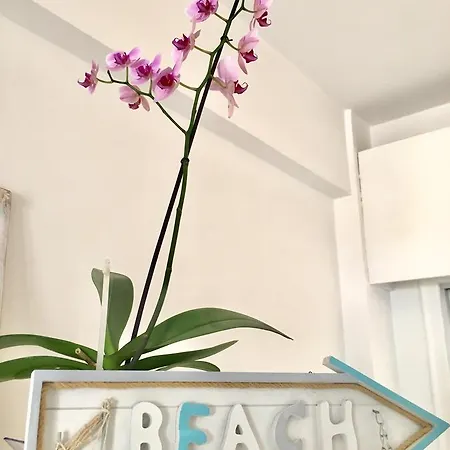 Zenobia City/ Beach No. 80 Appartement *